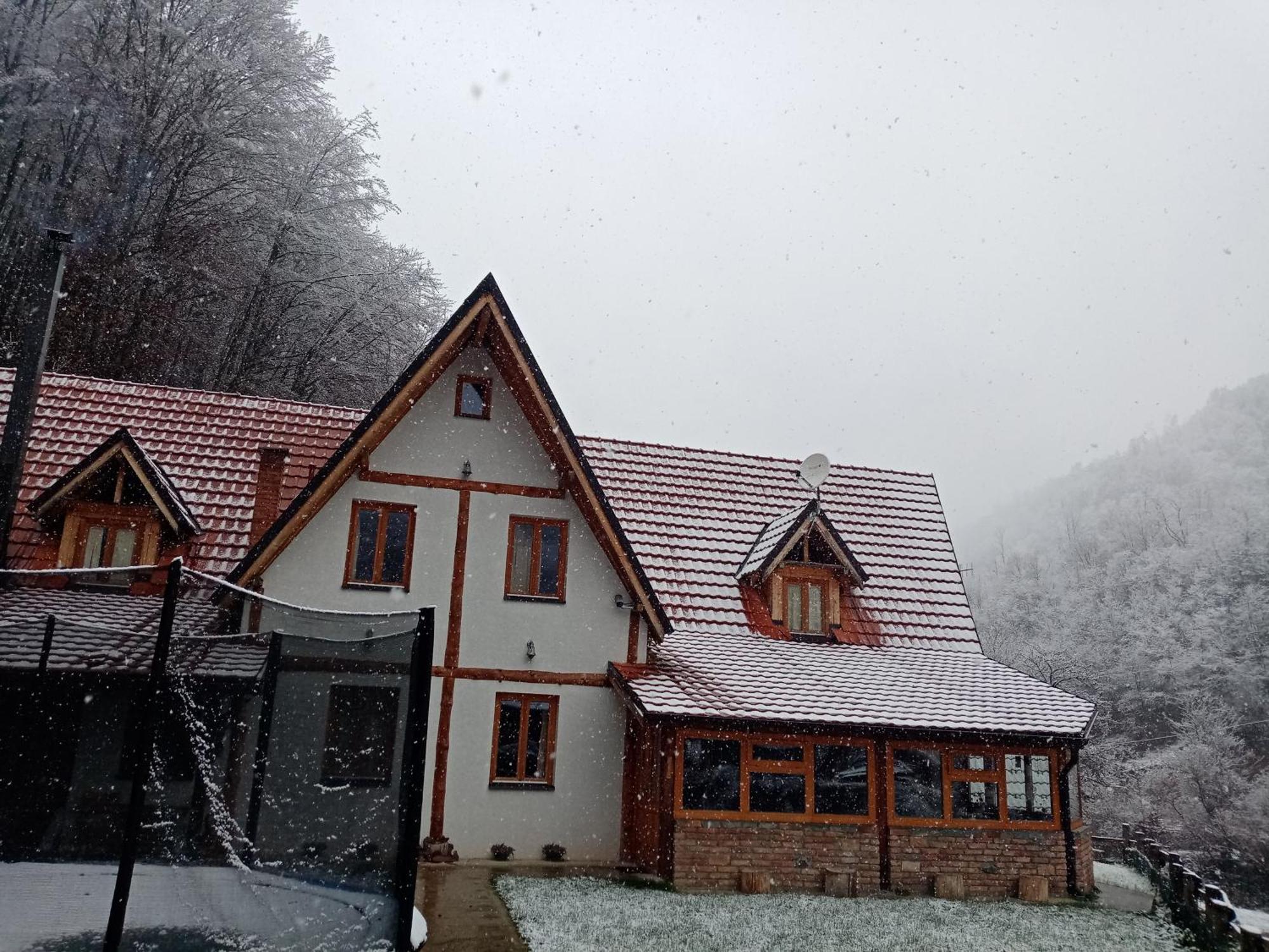 Staroplaninski Apartments Crni Vrh Exterior foto